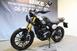 Triumph Scrambler 400 X (2024 - 25) (13)