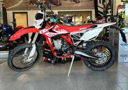 Betamotor RR 400 4T Enduro (2013) usata