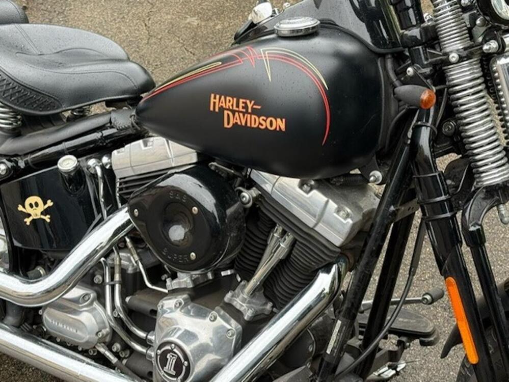 Harley-Davidson 1584 Cross Bones (2008 - 11) - FLSTSB (4)