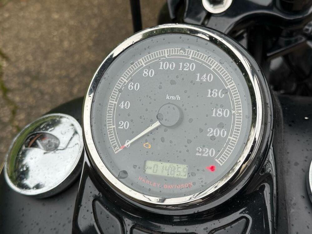 Harley-Davidson 1584 Cross Bones (2008 - 11) - FLSTSB (5)