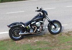 Harley-Davidson 1340 Custom (1989 - 98) usata