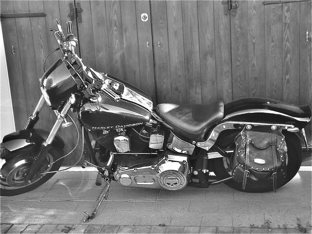 Harley-Davidson 1340 Custom (1989 - 98) (2)