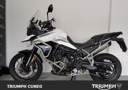 Triumph Tiger 900 GT Pro (2020 - 23) usata