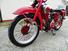 Moto Guzzi  Airone 250 Airone 250 (8)