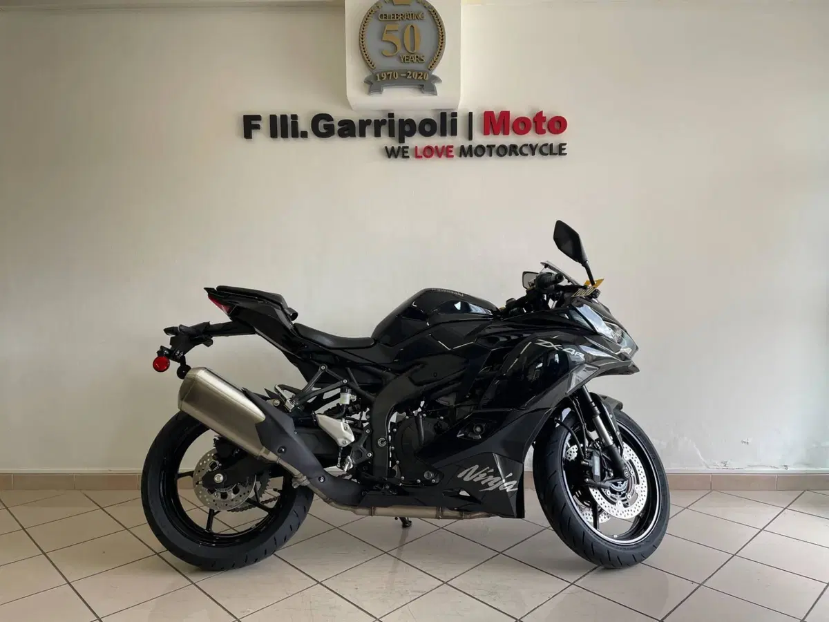 Kawasaki Ninja ZX-4R (2024 - 26) (2)