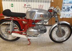 Motobi CATRIA 250 d'epoca