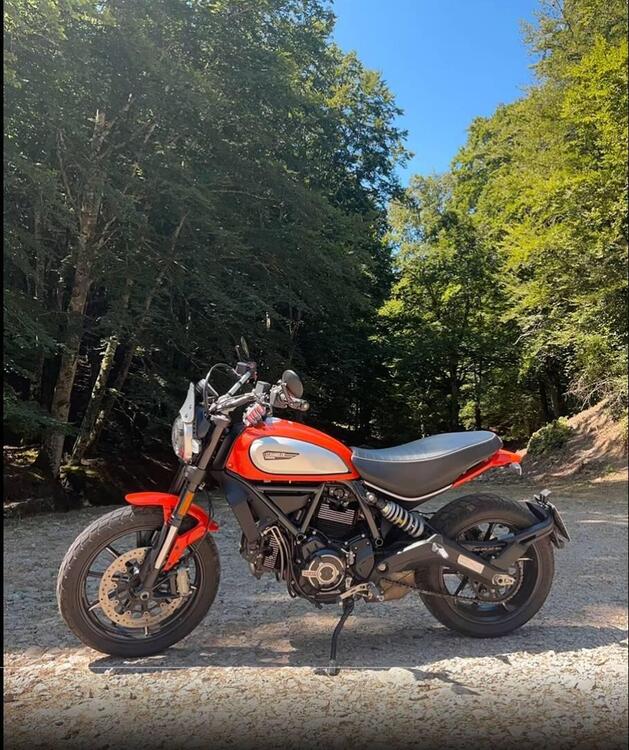 Ducati Scrambler 800 Icon (2017 - 20)