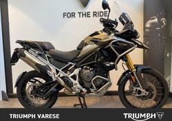 Triumph Tiger 1200 Rally Pro (2024 - 25) usata