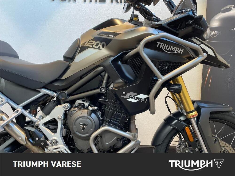 Triumph Tiger 1200 Rally Pro (2024 - 25) (5)