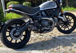 Ducati Scrambler 800 Icon (2017 - 20) usata