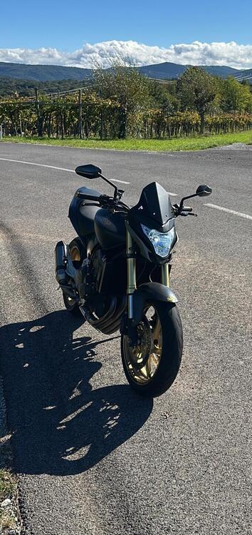 Honda Hornet 600 (2011 - 13)