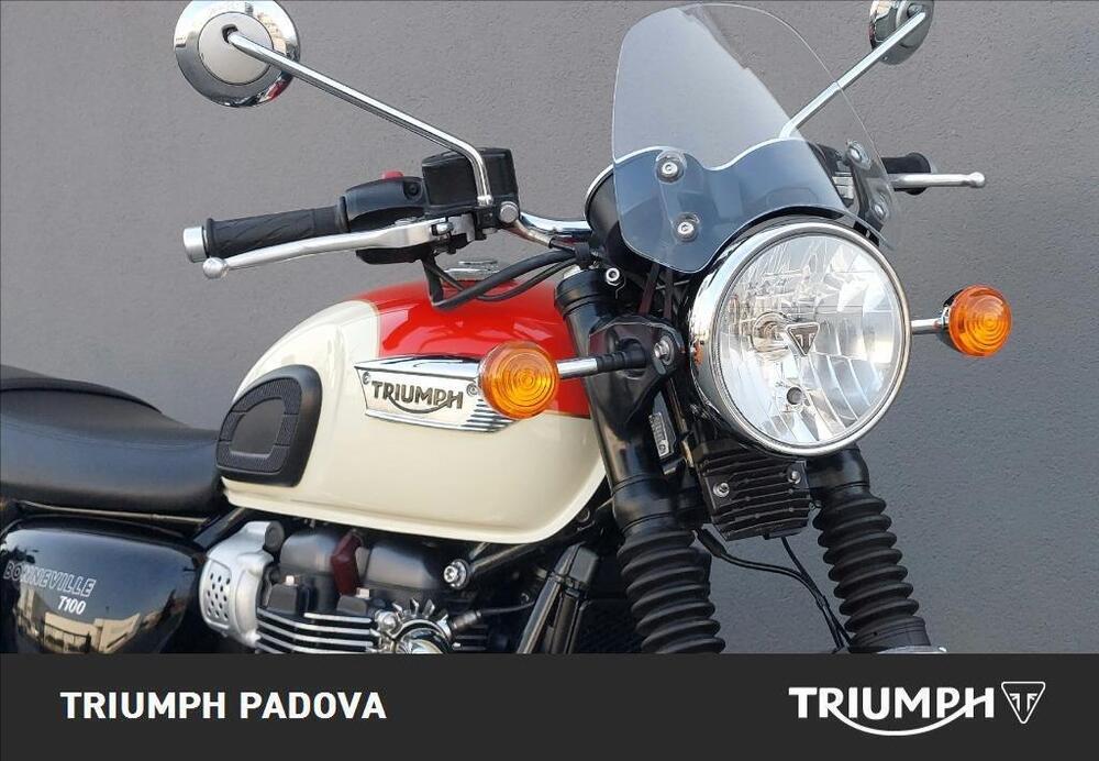 Triumph Bonneville T100 (2017 - 20) (5)