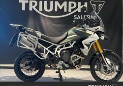 Triumph Tiger 900 Rally Pro (2020 - 23) usata