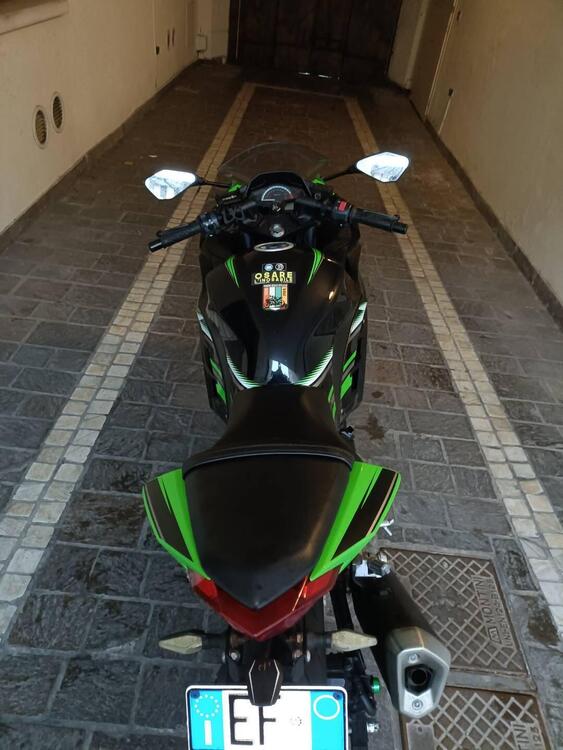 Kawasaki Ninja 300 ABS (2012 - 16) (4)