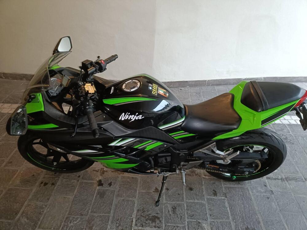 Kawasaki Ninja 300 ABS (2012 - 16) (5)