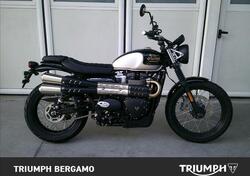 Triumph Street Scrambler 900 (2021 - 22) nuova