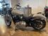 Harley-Davidson Softail Standard (2021 - 25) (7)