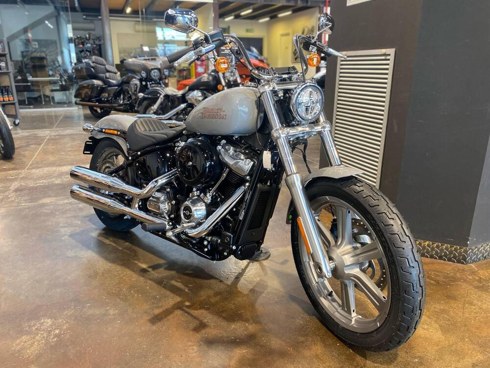 Harley-Davidson Softail Standard (2021 - 25) (2)