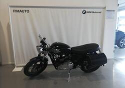 Triumph Thruxton 900 (2004 - 15) usata