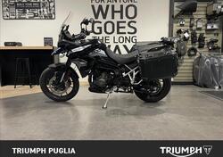 Triumph Tiger 900 GT Pro (2020 - 23) usata