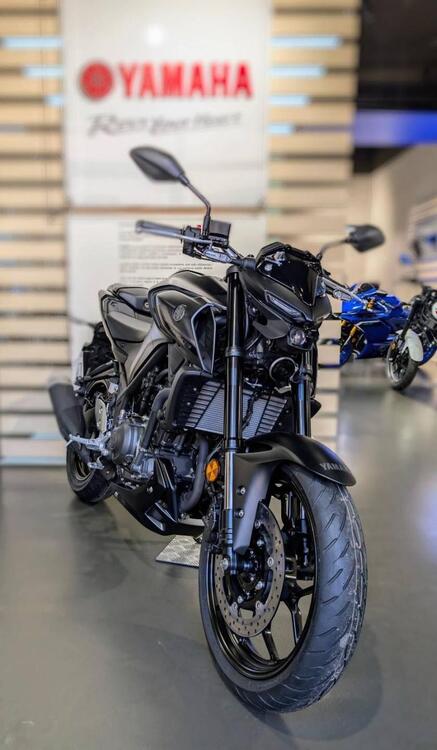 Yamaha MT-03 (2022 - 25) (3)