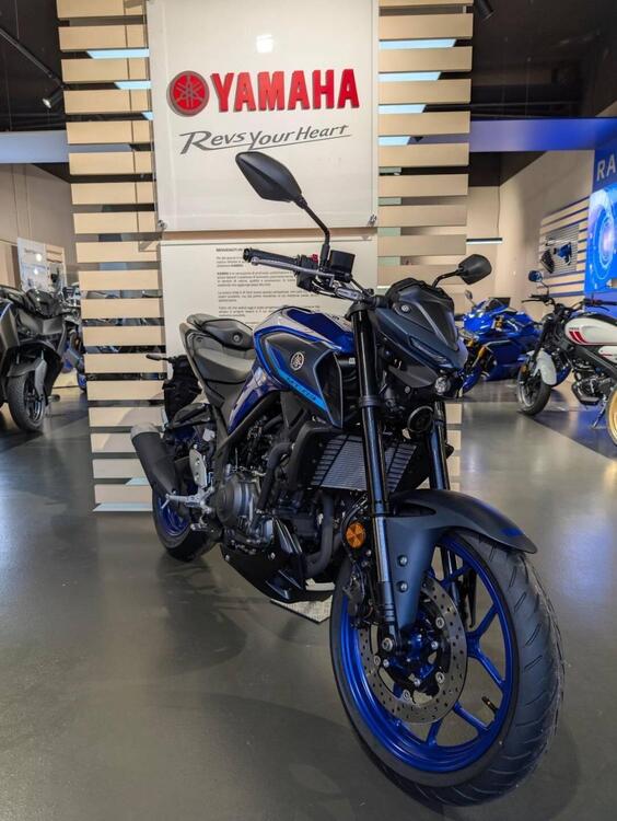 Yamaha MT-03 (2022 - 25) (3)