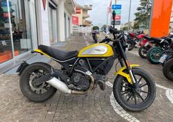 Ducati Scrambler 800 Icon (2017 - 20) usata