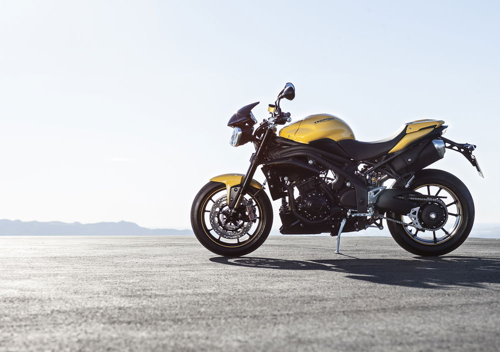 Triumph Speed 94 R (2015 - 16) (4)