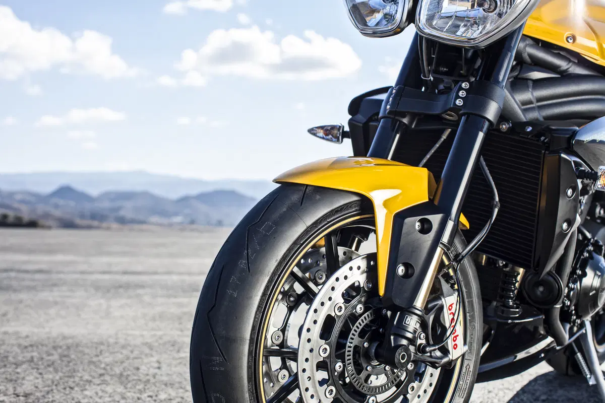 Triumph Speed 94 Speed 94 R (2015 - 16) (9)