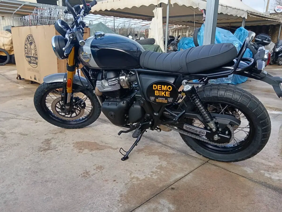 Royal Enfield Bear 650 (2025 - 26) (2)
