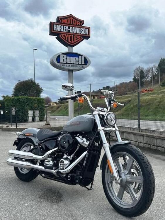 Harley-Davidson Softail Standard (2021 - 25)