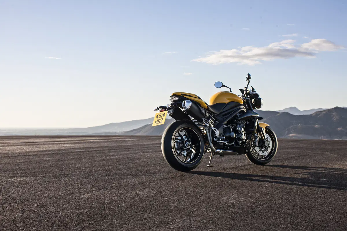 Triumph Speed 94 Speed 94 R (2015 - 16) (13)