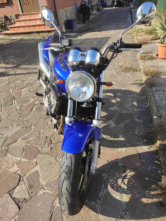 Honda Hornet  (2)