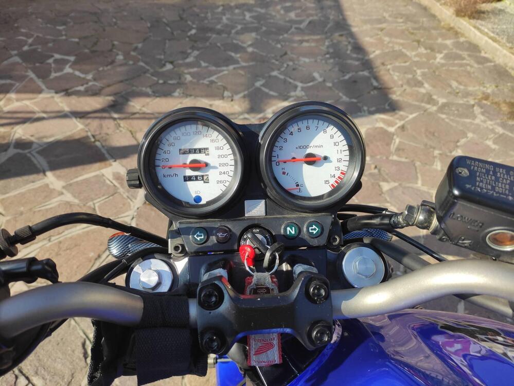 Honda Hornet  (5)