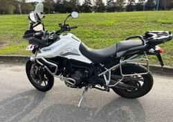 Triumph Tiger 900 GT Pro (2020 - 23) usata