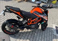 KTM 390 Duke (2021 - 23) usata