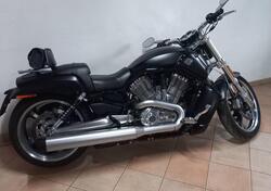 Harley-Davidson 1250 V-Rod Muscle (2009 - 17) - VRSCF usata