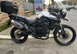 Triumph Tiger 800 XC (2011 - 12) usata