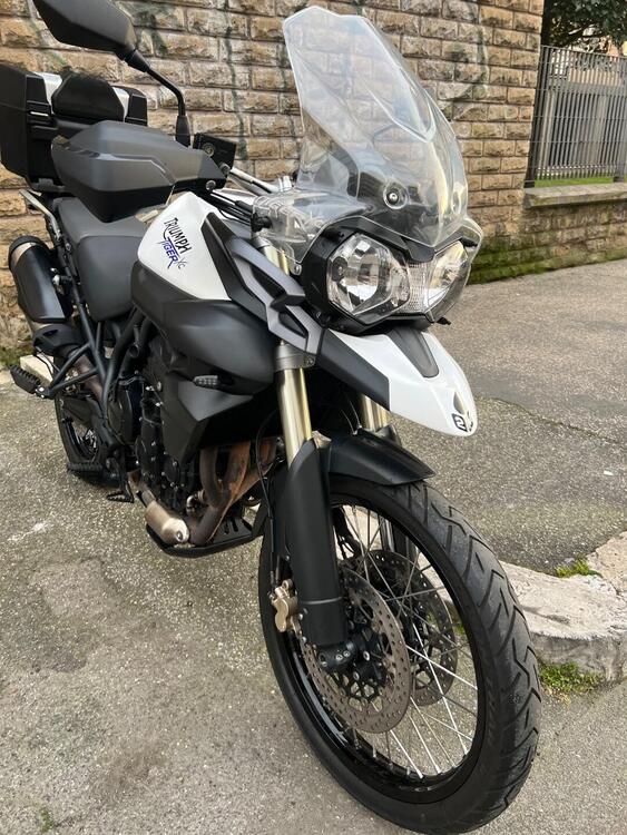 Triumph Tiger 800 XC (2011 - 12) (4)