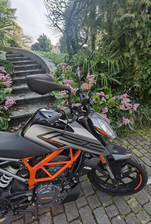 KTM 125 Duke (2021 - 23) (3)