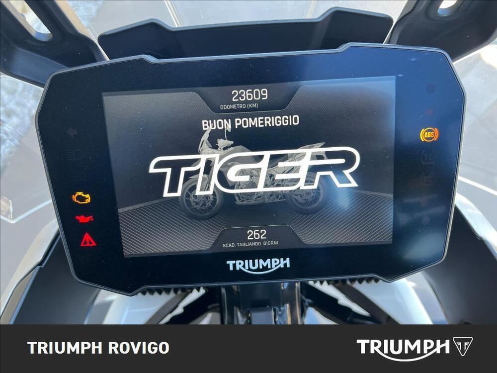 Triumph Tiger 900 Rally Pro (2020 - 23) (5)