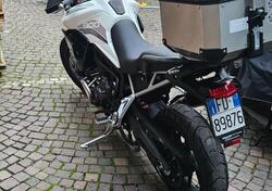 Triumph Tiger 900 GT Pro (2020 - 23) usata