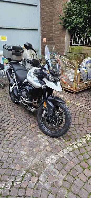 Triumph Tiger 900 GT Pro (2020 - 23) (2)