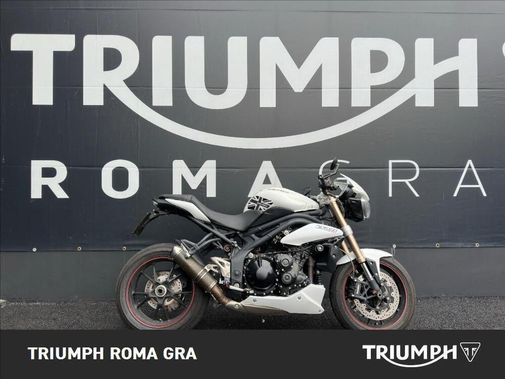 Triumph Speed Triple 1050 (2005 - 11) (2)