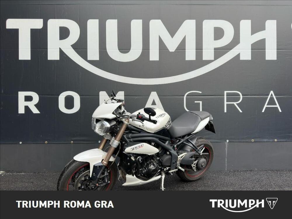 Triumph Speed Triple 1050 (2005 - 11) (3)