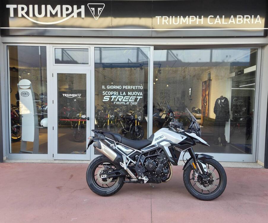 Triumph Tiger 900 GT Pro (2024 - 25) (2)