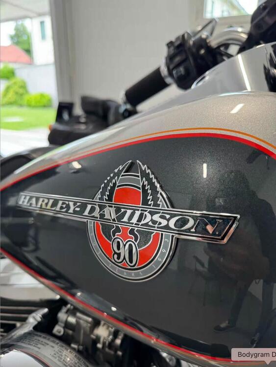 Harley-Davidson Electra Glide Classic FLHTC (2)