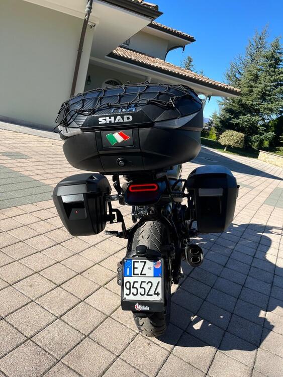 Benelli Leoncino 500 (2021 - 25) (5)