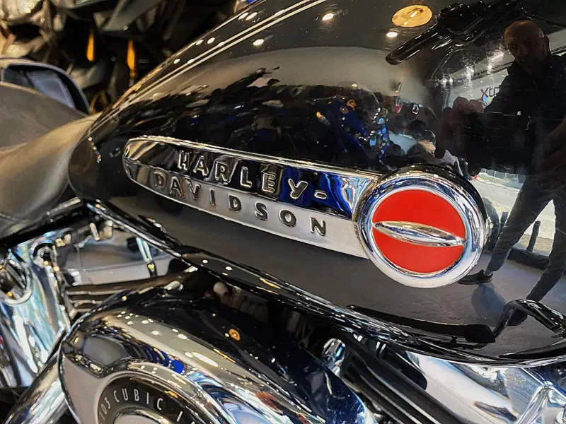 Harley-Davidson 1690 Deluxe ABS (2011 - 16) - FLSTN (5)