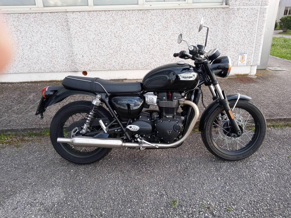 Triumph Bonneville T100 (2021 - 25)